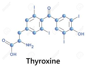 thyroxin