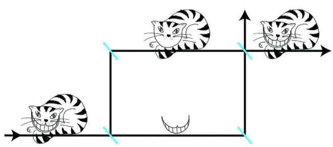 cadd562eac_62322_chat-alice-neutron-universite-technique-de-vienne-01