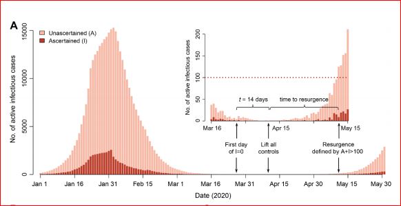 wuhan asymptomatiques
