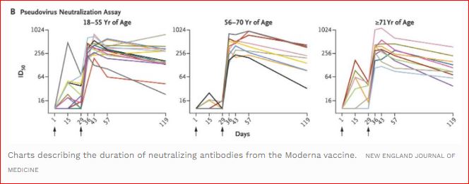 moderna durée protection
