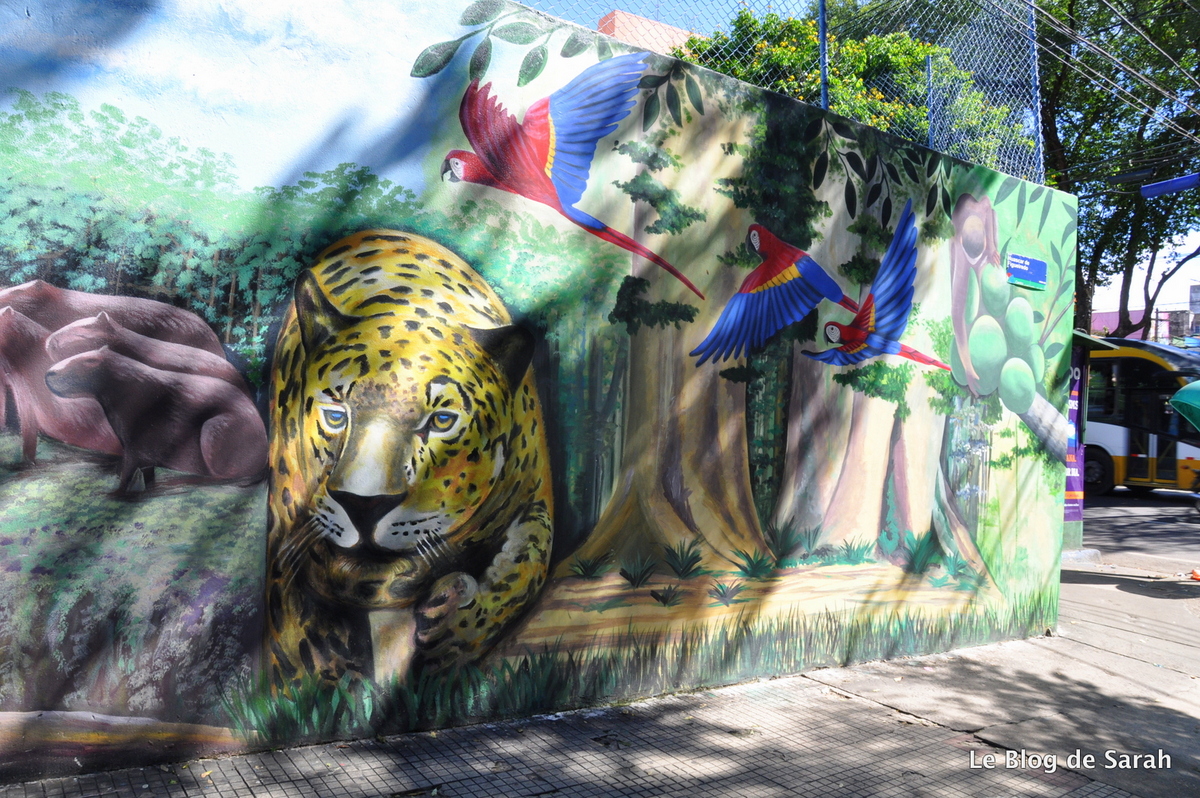 street-art-bresil-manaus-jungle 2