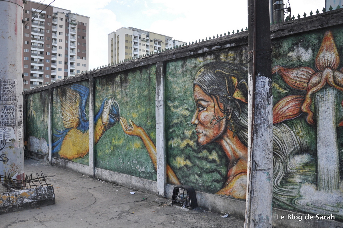 street-art-jungle-manaus-bresil