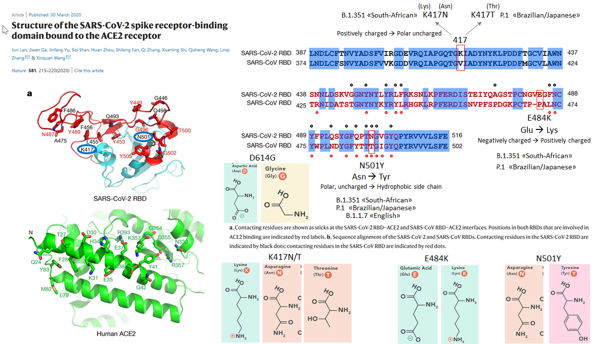 figure spike variations
