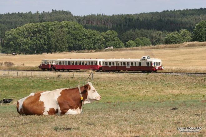 Train vache GN Sohier